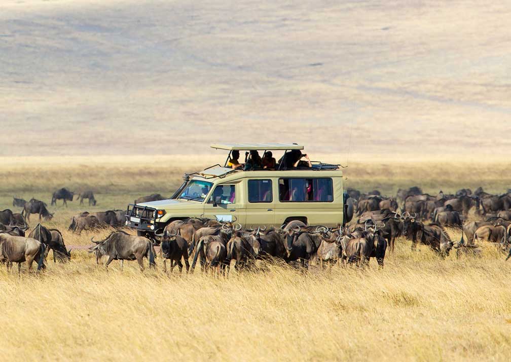 15 Days. Tanzania Southern &Western Premier Safari