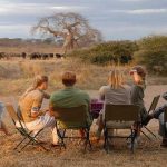 The Best East Africa Safari Specialist