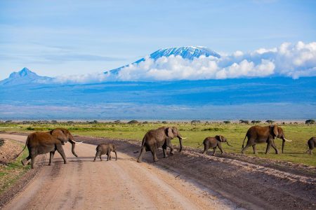 The Great Rift Valley Safari in Kenya