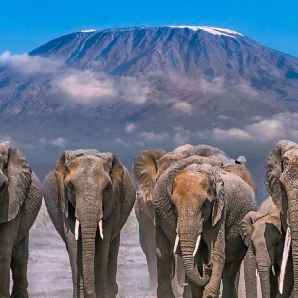 kilimanjaro-national-park-banner