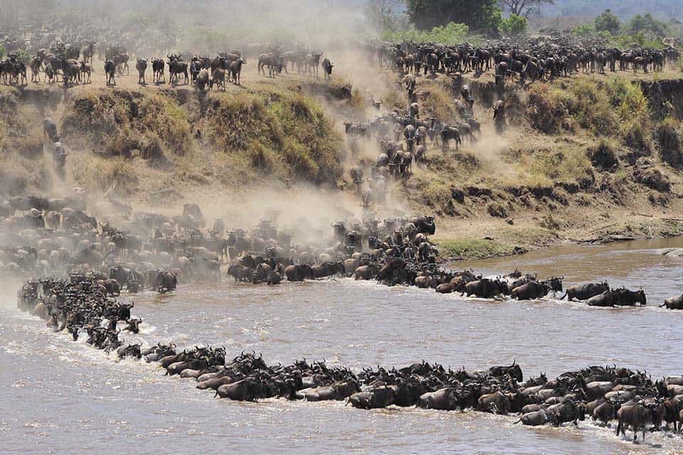 12 Days Great Serengeti Wildebeest Migration safari by Big Life