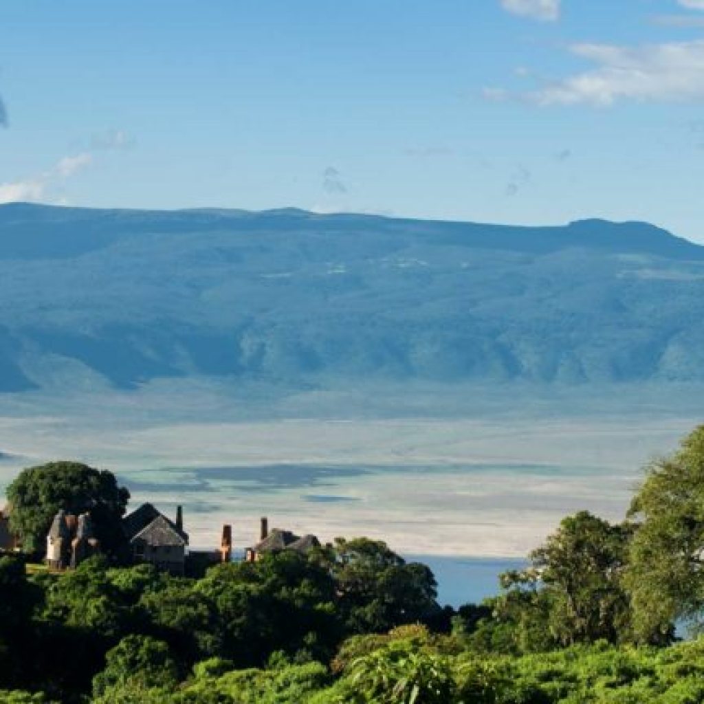 view-of-the-ngorongoro-crater-and-trees-in-tanzania-768x432