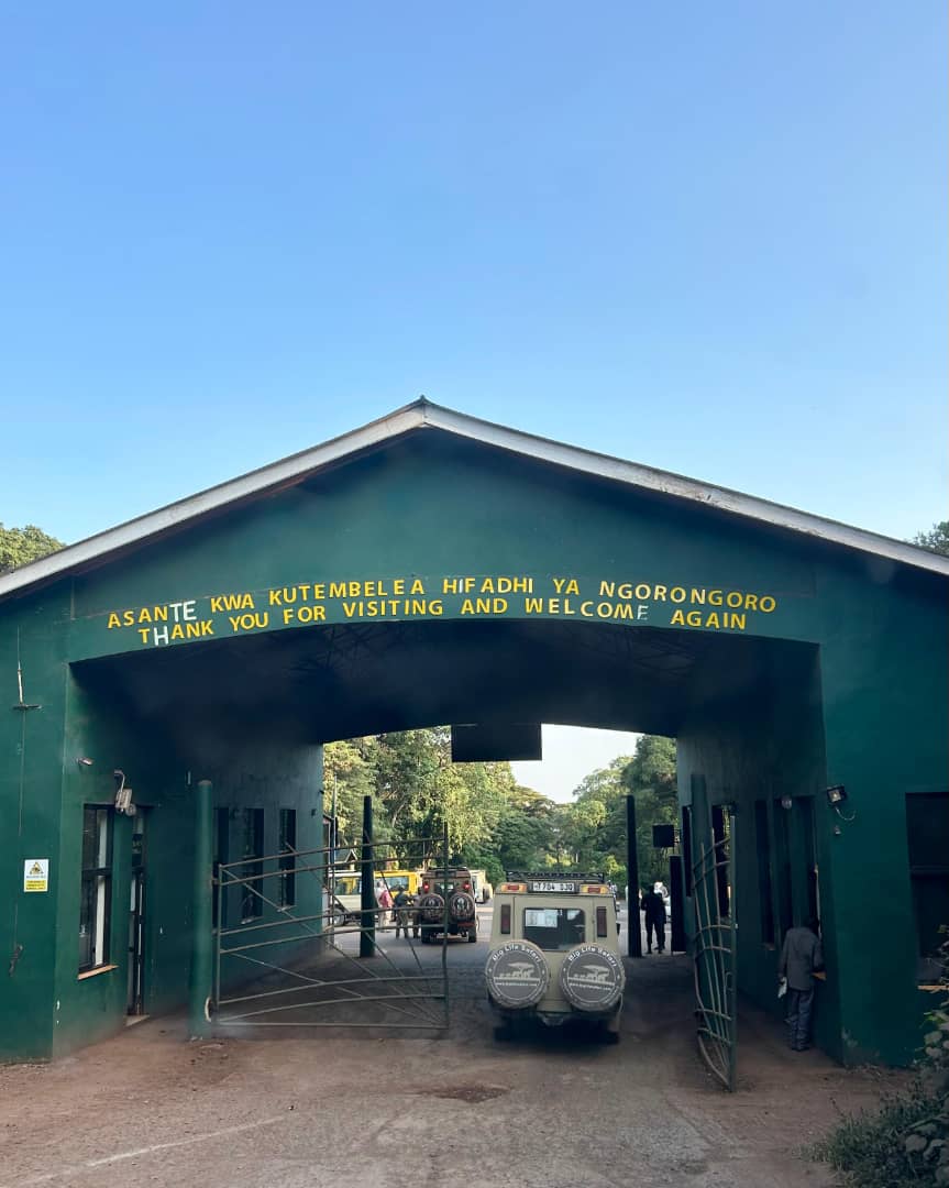 The Best East Africa Safari Specialist