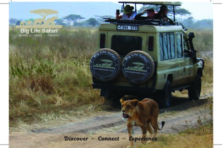 10-Days An Unforgettable Tanzania Safari & Experience