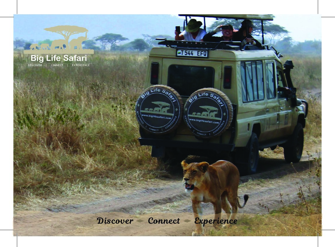 The Best East Africa Safari Specialist