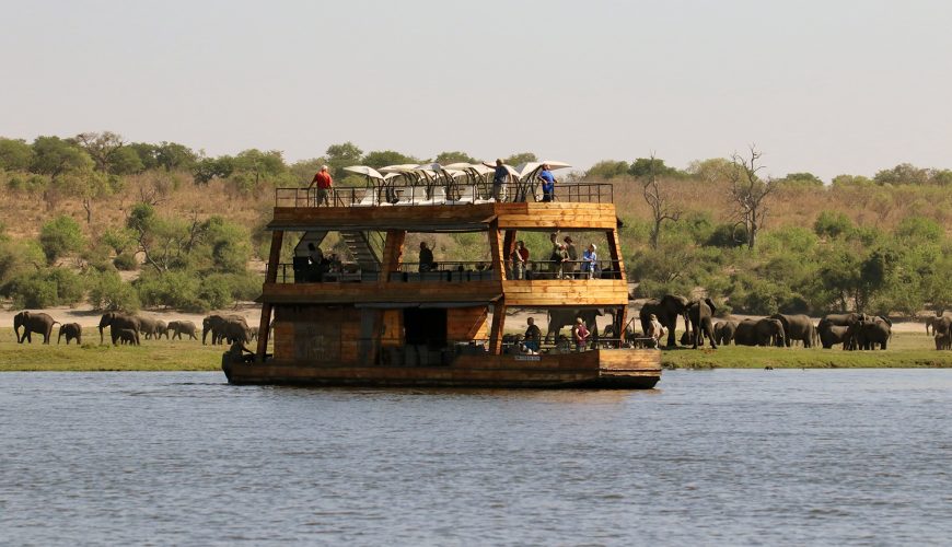 The Best East Africa Safari Specialist