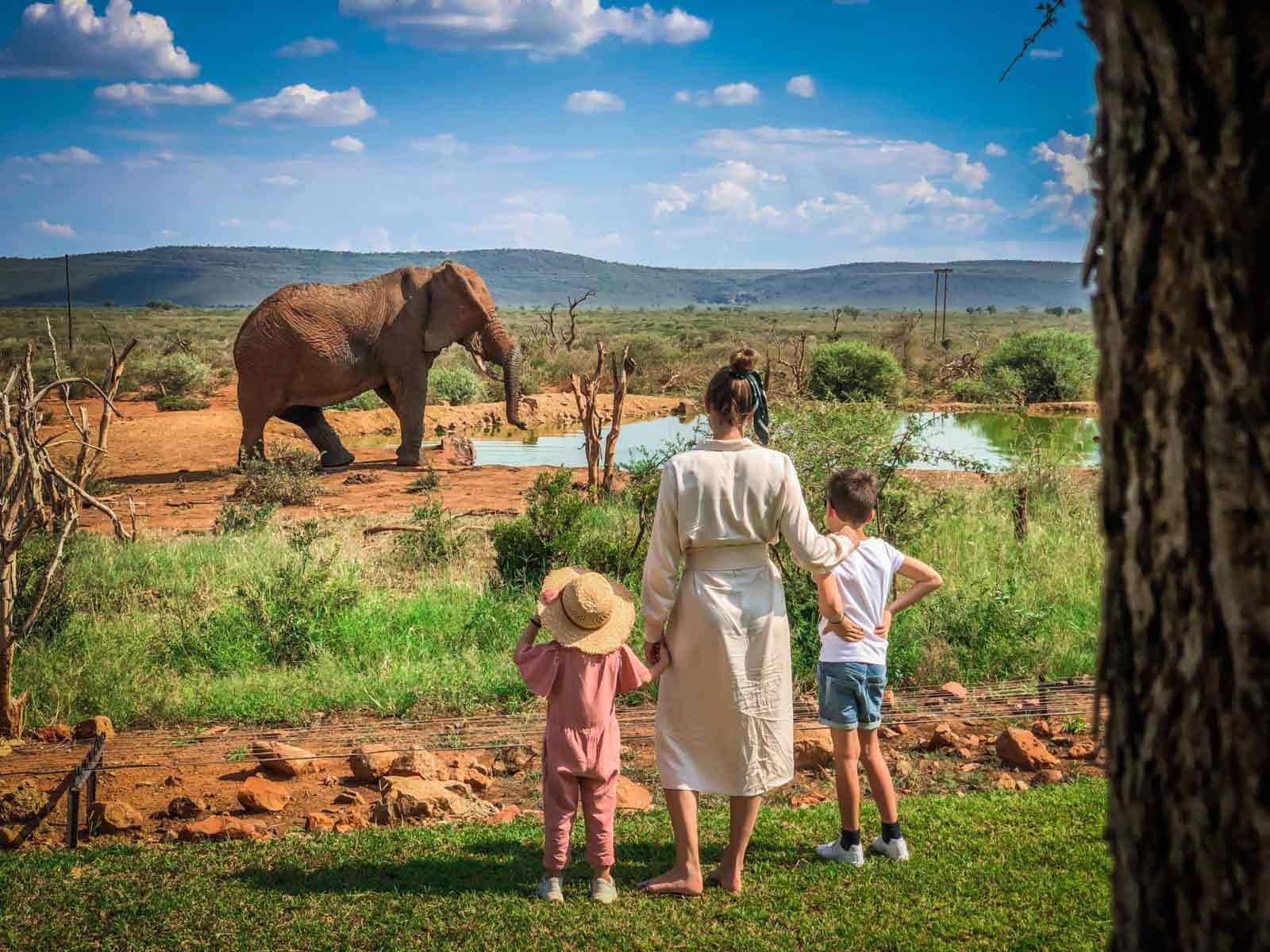 7 Days Budget Family Safari in Tanzania - Zaita Tours