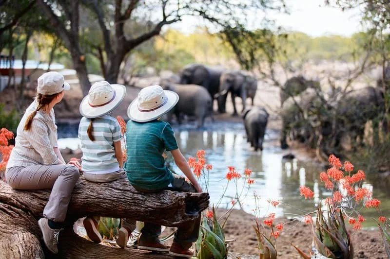 Wild Wonders: A Family African Safari - miruadventures.com