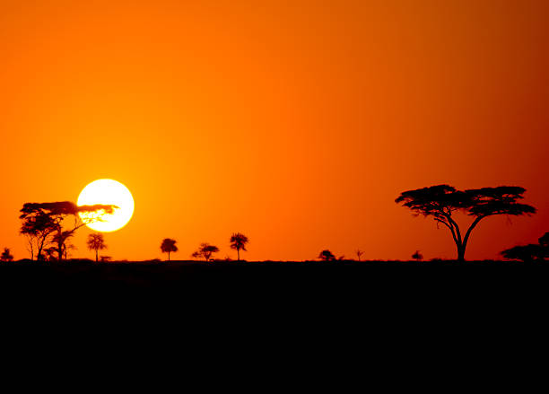 The Best East Africa Safari Specialist