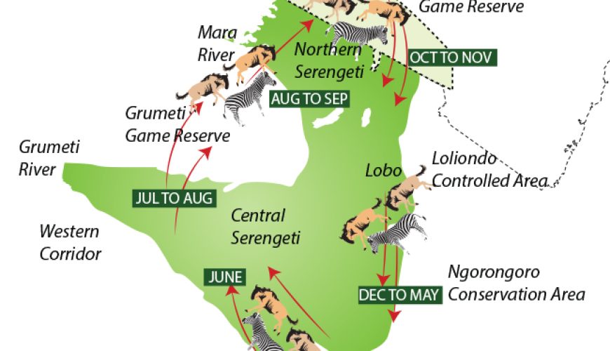 The Best East Africa Safari Specialist