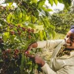 The Best East Africa Safari Specialist