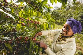 The Best East Africa Safari Specialist