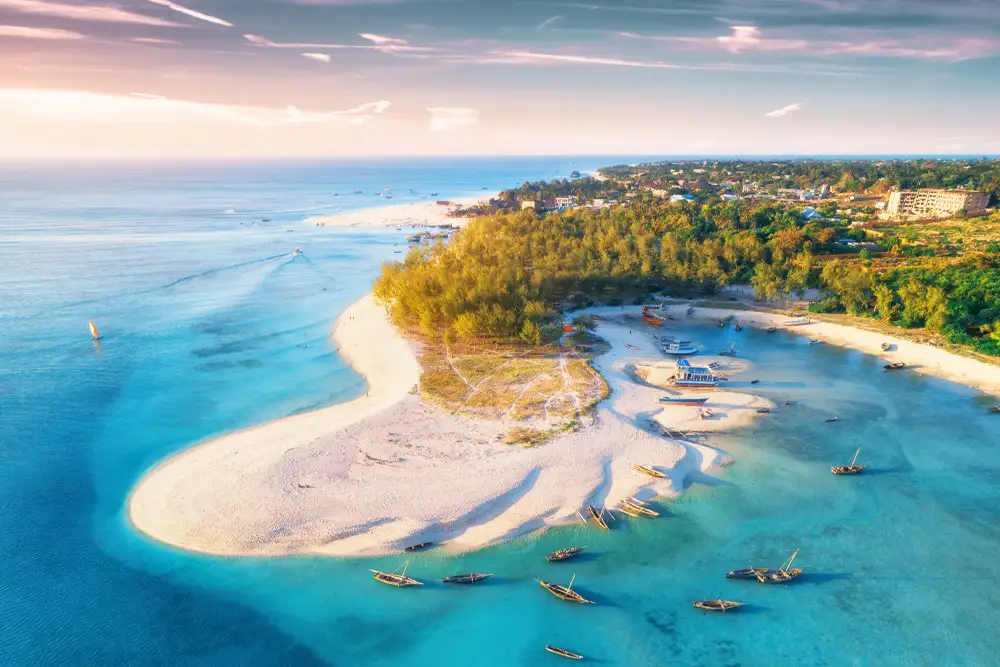 The Best East Africa Safari Specialist