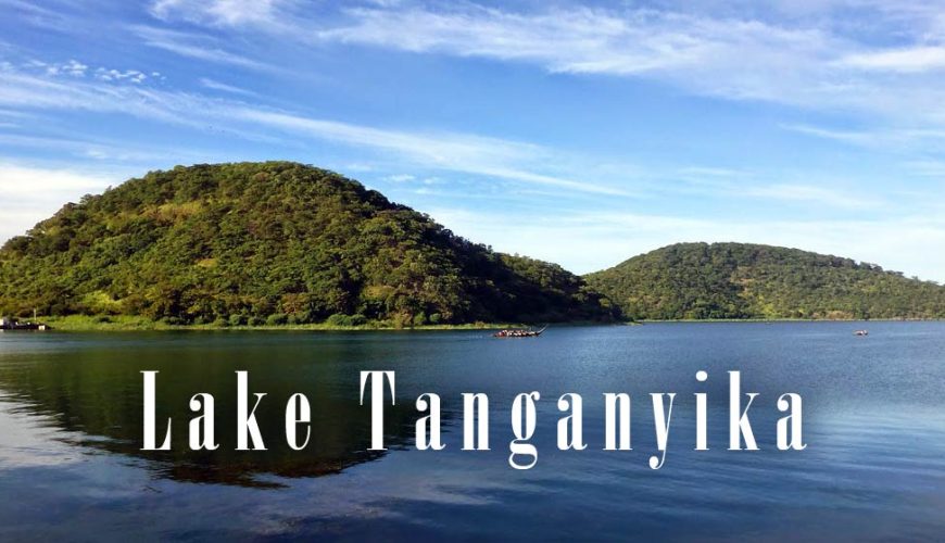 The Best East Africa Safari Specialist