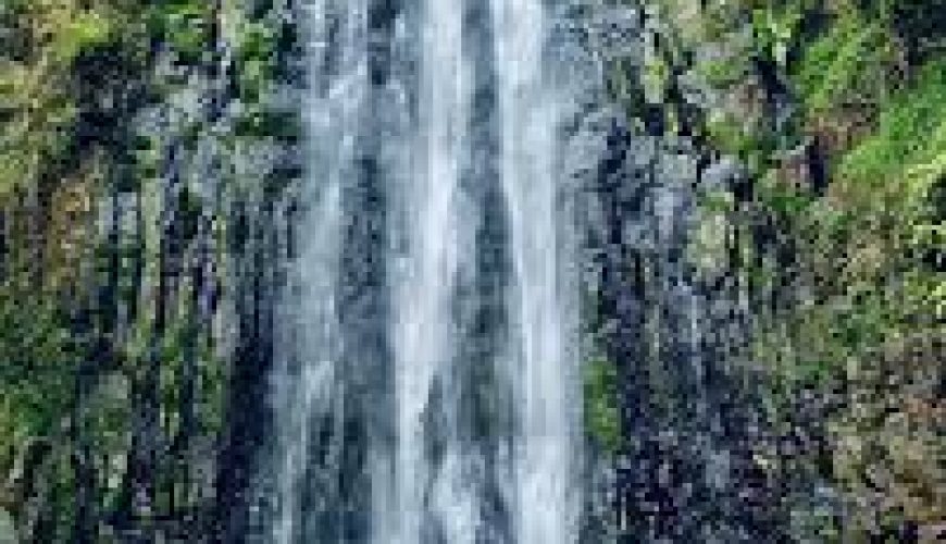 The Best East Africa Safari Specialist