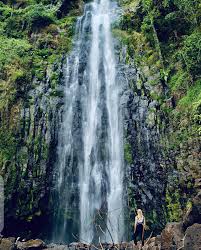 The Best East Africa Safari Specialist