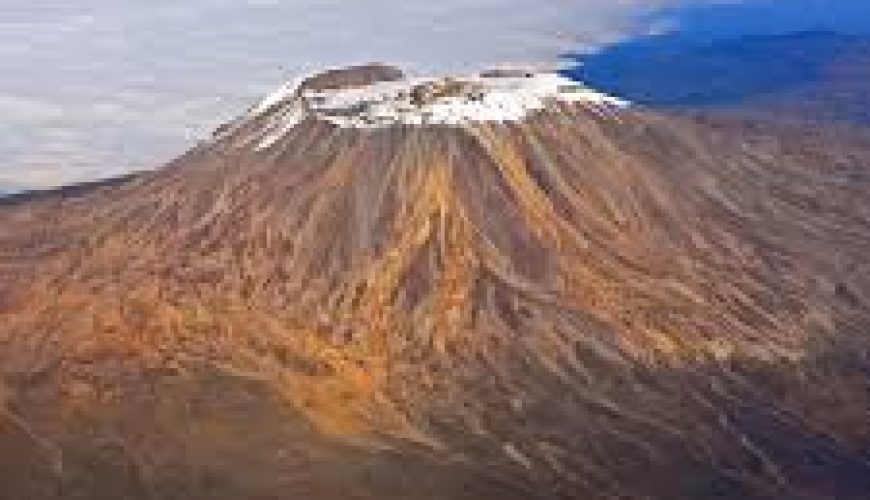 The Best East Africa Safari Specialist