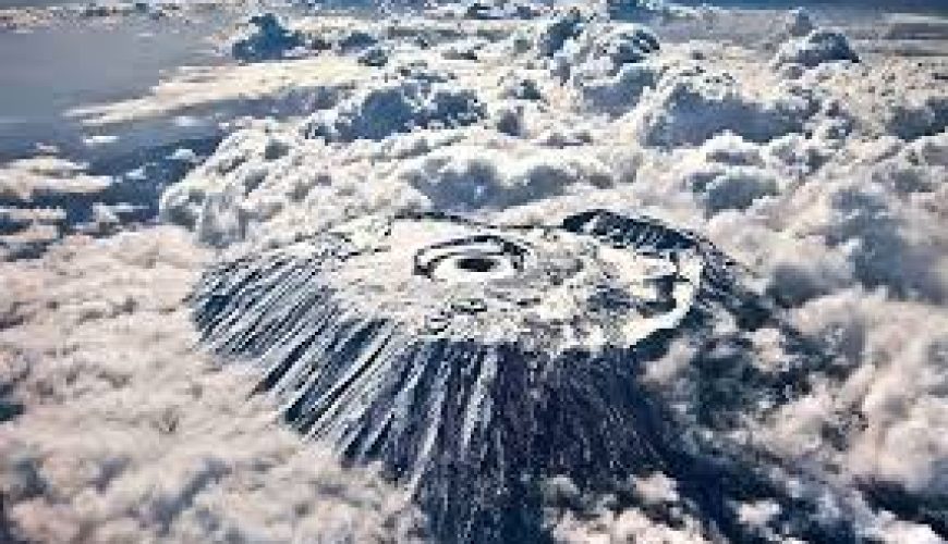 The Best East Africa Safari Specialist