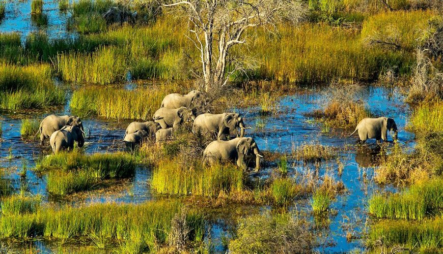 The Best East Africa Safari Specialist