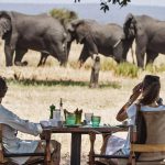 The Best East Africa Safari Specialist