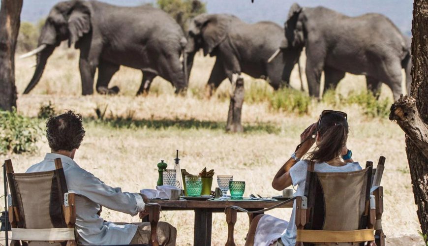 The Best East Africa Safari Specialist