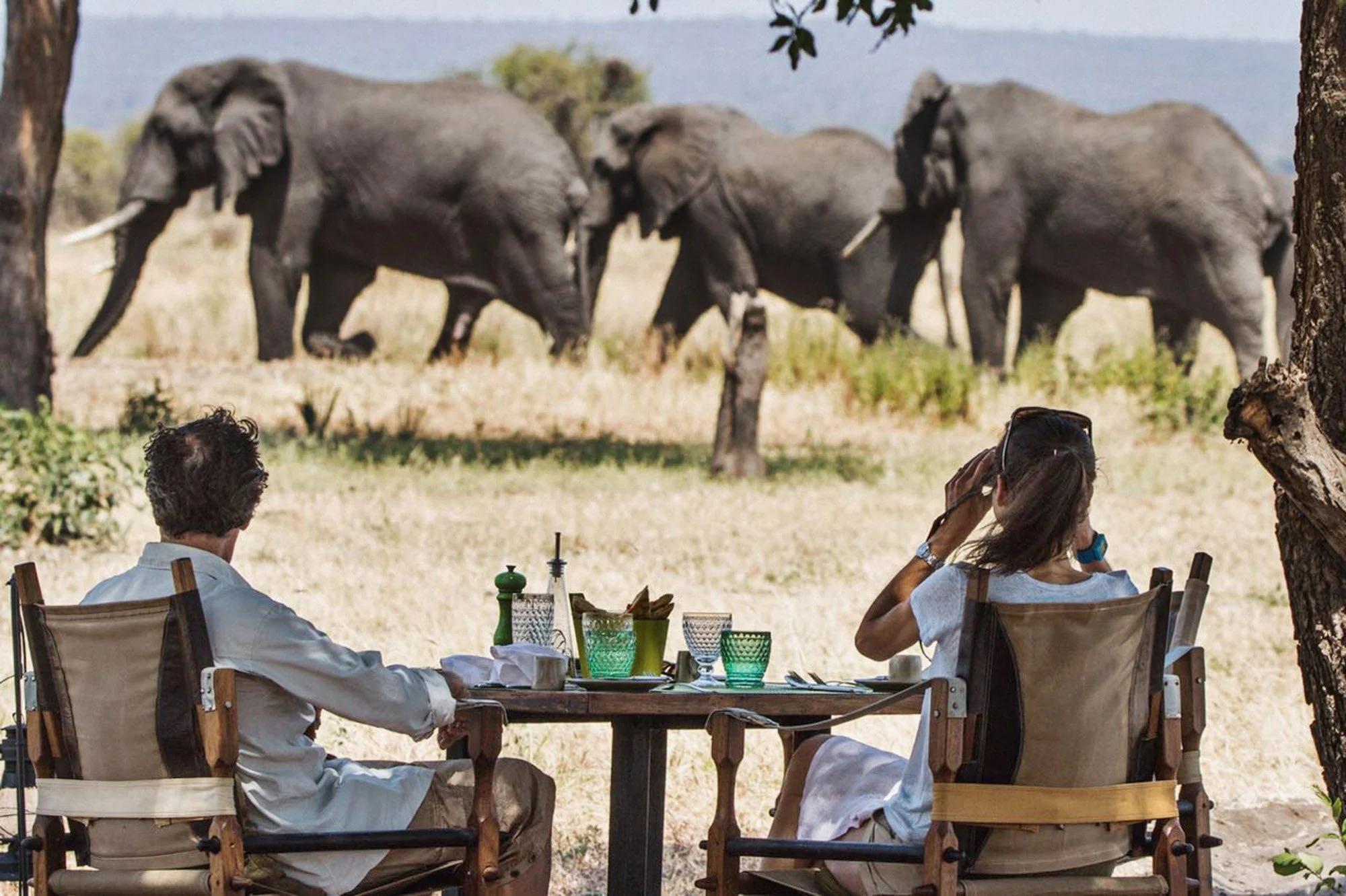 The Best East Africa Safari Specialist